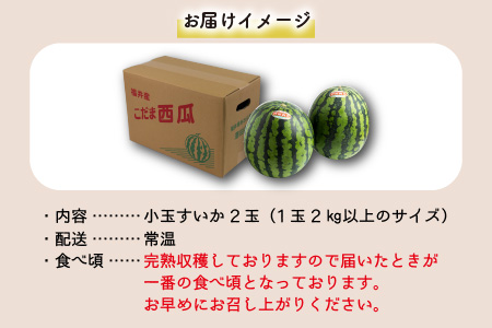 【先行予約】小玉すいか 愛娘(まなむすめ) 2kg以上 2玉入 ＜大玉のようなシャリ感！皮際まで抜群に甘い＞ ／ 期間限定 あわら 果物 フルーツ 産地直送  スイカ 小玉スイカ ※2024年6月上旬