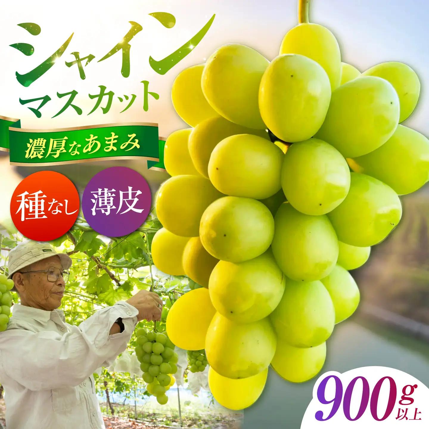 【先行予約】 シャインマスカット　900g以上 【小林農園】 / ブドウ ぶどう 果物 種なし[HAX004]