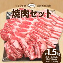 【ふるさと納税】豚肉 ブランド豚 三州あおみ豚 焼肉 セット 肩ロース 豚バラ スペアリブ 500g × 3 計1.5kg 食品 国産 柔らかい とろける 上質 脂 お取り寄せ お取り寄せグルメ 冷凍 愛知県 碧南市 送料無料