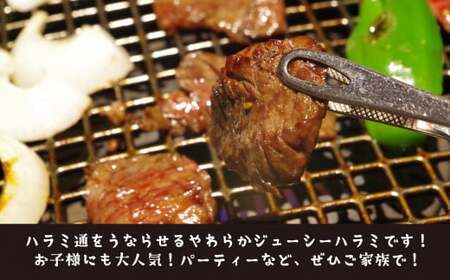 ちづや特製 自慢のタレ漬けハラミ 200g 牛肉 ハラミ 焼肉 焼き肉 肉 赤身 冷凍 鳥取県 倉吉市