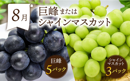 【6回】フルーツ定期便 旬のフルーツ [SDZ022]