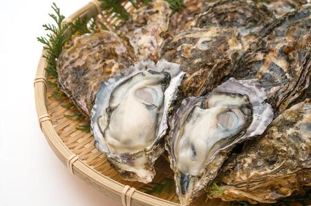 島田水産　Shimada　Oyster　殻付き牡蠣20個(加熱用）