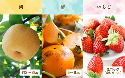 【定期便5回】厳選フルーツ便（メロン ぶどう 梨 柿 いちご）果物 5種 《お申込み月の翌月から出荷開始》 ---003-2425---