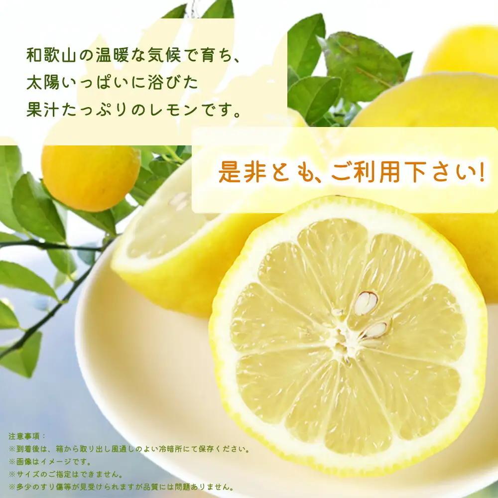 【2027年先行予約】秀品 紀州有田産レモン 2.5kg_G7068
