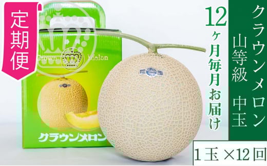 【12ヶ月定期便】クラウンメロン【上(山等級)】中玉(1.3kg前後)1玉入り [№5786-5473]