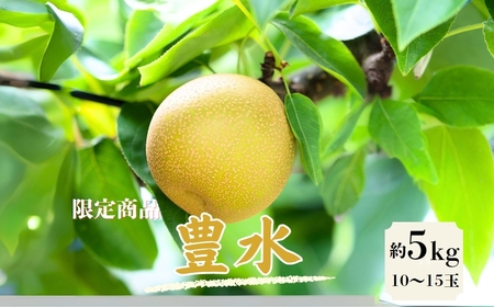 梨（豊水）　約5㎏　15-014