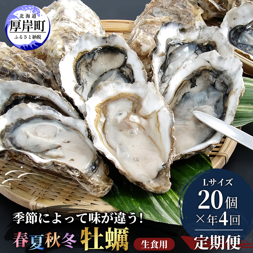 定期便 4回 季節によって味が違う！春夏秋冬「 牡蠣 」 【配送不可：沖縄・離島】 魚貝類 生牡蠣 かき 
