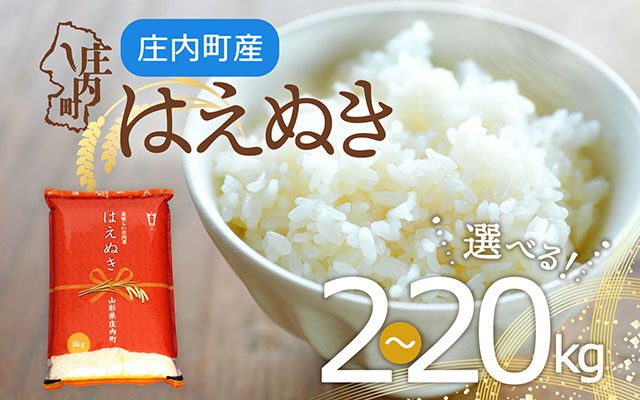 
                  庄内町産 はえぬき 選べる内容量！2kg / 5kg / 6kg / 10kg / 15kg / 20kg 令和7年産 2025年産 余目産 余目町農協 あまるめ ブランド米 米 国産 単一原料米 山形 庄内平野 コシヒカリの原点、亀の尾発祥の地 庄内
                