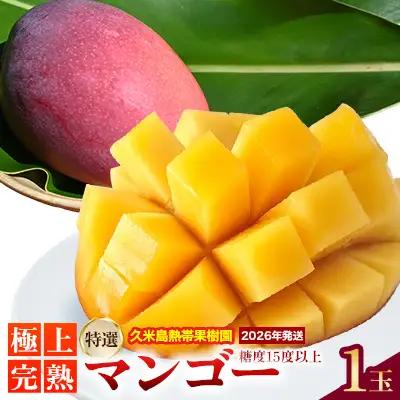 マンゴー【2026年発送】久米島熱帯果樹園「特選」極上完熟マンゴー1玉（450g以上）糖度15度以上 アーウィン