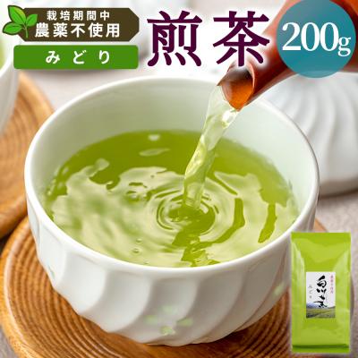 ふるさと納税 東白川村 栽培期間中 農薬不使用! 煎茶 みどり 200g 常磐園 日本茶 緑茶 煎茶