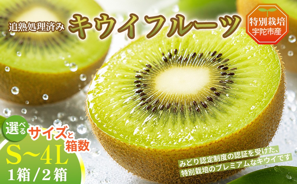 
                  ＜2026年12月～3月順次発送＞＜選べるサイズ・箱数＞プレミアム キウイ フルーツ S~4Lサイズ 追熟処理済 ／ ふるさと納税 キウイ キウイフルーツ ギフト 栄養 果物 お土産 化学肥料不使用 特別栽培 塩 奈良県 宇陀市 やまとファームJAPAN
                