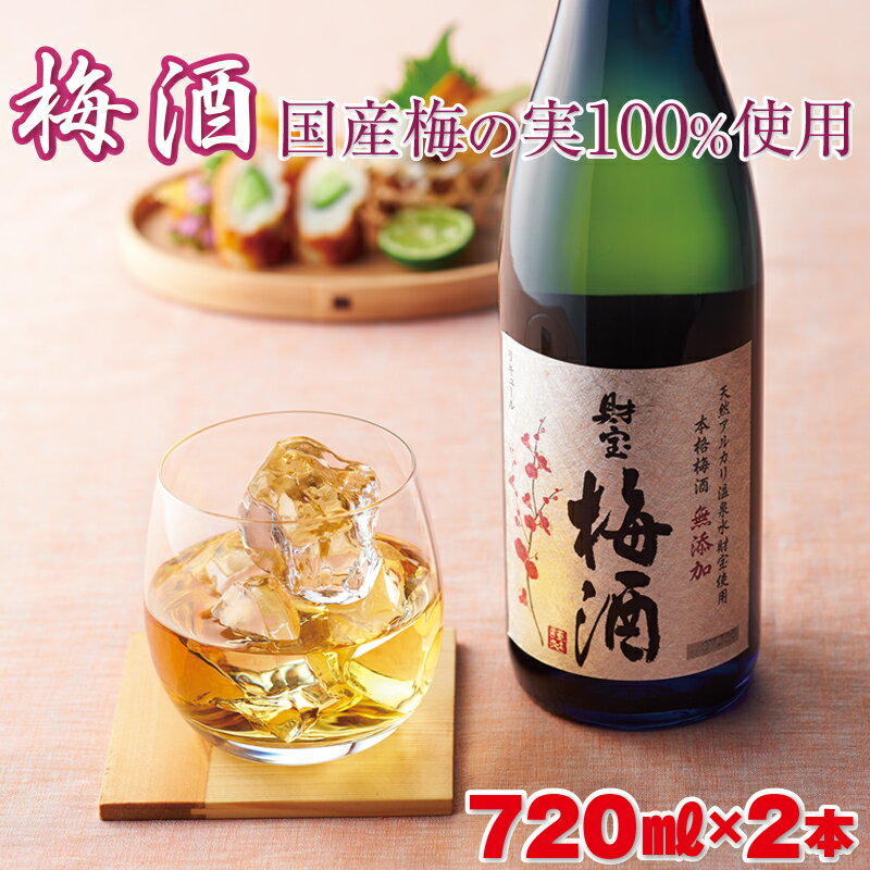【ふるさと納税】＜すぐ届く！＞＜父の日ギフト＞ 梅酒 2本セット 国産梅 国産はちみつ 使用 濃厚な味わい 4合瓶 720ml アルコール 12度 天然アルカリ温泉水 財寶温泉 使用 本格梅酒 ストレート ロック 炭酸割り 水割り 女性 人気 鹿児島県 【財宝】 W-22167