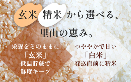 令和7年産 コシヒカリ 「聖米」 玄米 10kg （5kg×2） 寄附額見直し（2025/12/2~）