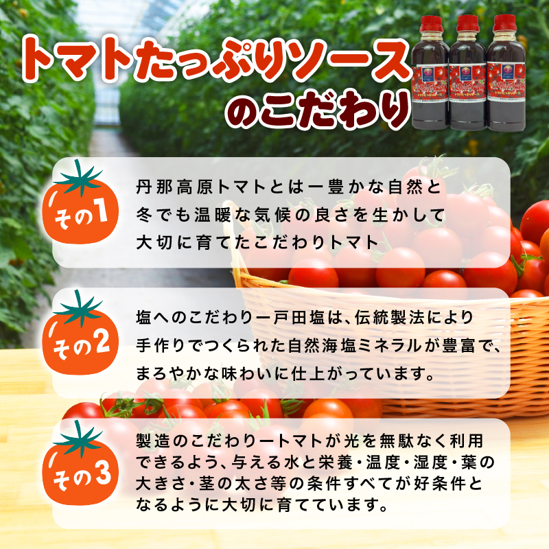 トマト たっぷり ソース 300ml×3本 丹那高原 トマトソース こだわり 調味料 戸田塩 使用 静岡県 沼津市