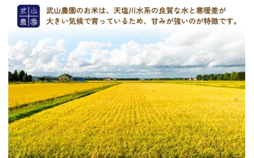 米 令和8年 6回 定期便 ゆめぴりか 5kg [武山農園 北海道剣淵町 14656445 ] 令和8年産 白米 精米 新米 ご飯 ごはん コメ こめ 国産 10キロ 定期