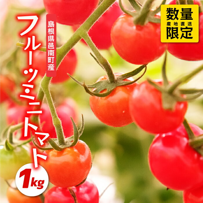 【ふるさと納税】数量限定!!うす皮 薄皮 フルーツミニトマト「華の妖精」1kg