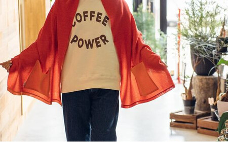 ストール CLEMATIS リバーシブル和紙ストール ( たたきポケット・レッド ) レディース | 大判 ストール リバーシブル 和紙 おしゃれ シンプル マフラー 春夏 春 夏 新潟県 五泉市 株