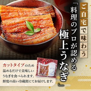 【ITI優秀味覚賞受賞】「うなぎの井口」蒲焼10カットセット【配送不可：離島】