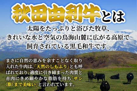 秋田由利牛 三角バラ上カルビ300g×3パック