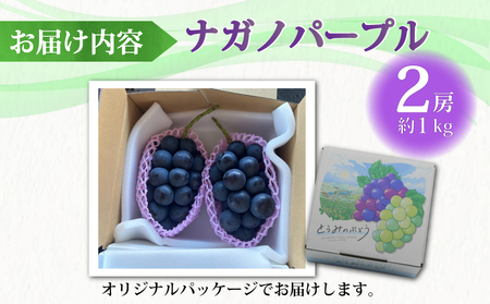 【先行受付2026年発送】東御市産ナガノパープル2房（約1kg）【8月下旬～9月下旬発送】