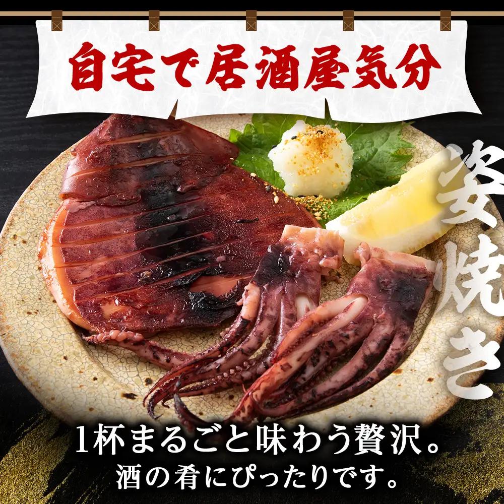 北海道産 真イカ開き(加熱用) 2枚入り×2パック 〈斉藤水産〉 AM173