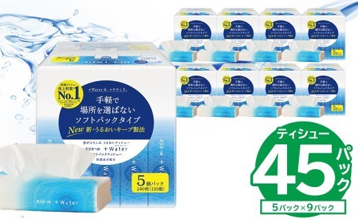 
                  【ハーフサイズ】エリエール +Water（プラスウォーター）ソフトパックティシュー　120W5P×9パック 【 ソフトパックティッシュ ティッシュ ソフトパック ティッシュペーパー 箱なし 日用品 新生活 備蓄 防災 消耗品 生活雑貨 生活用品 パルプ100％ 】
                
