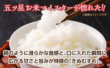 米 五ツ星お米マイスターお薦め 米袋エコバッグときぬむすめ2kg セット 島根県松江市/株式会社沼田米穀店[ALBU007] 米 米
