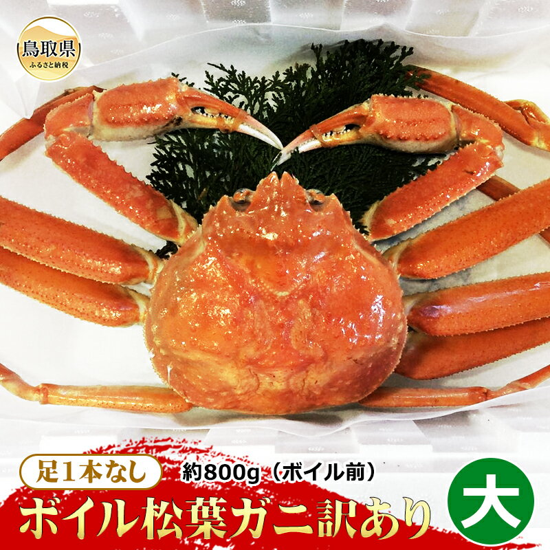 【ふるさと納税】【魚倉】足1本なしボイル松葉ガニ訳あり　大　約800g（ボイル前）【期間限定】_T2600160