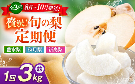 【先行予約】【3回定期便】 梨 約3kg 計約9kg（豊水・秋月・新高）  梨 ナシ フルーツ 果物 【日本フルーツ株式会社】[ZFJ070]