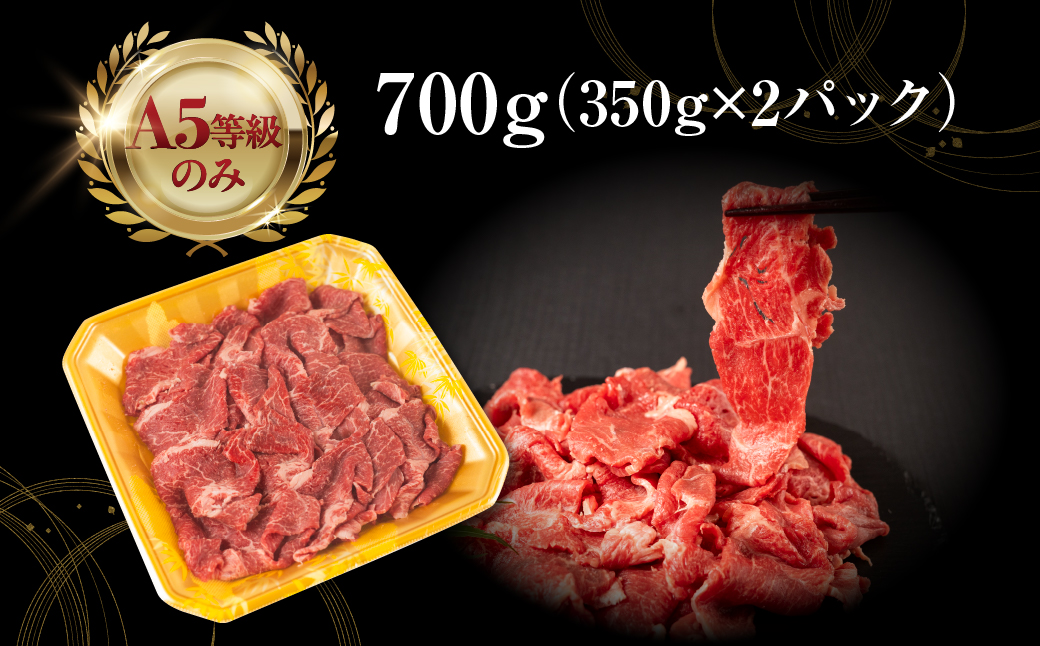 【3回定期便】飛騨牛 A5 700g ちょっと良い 切り落とし 牛肉 和牛 700g × 3回