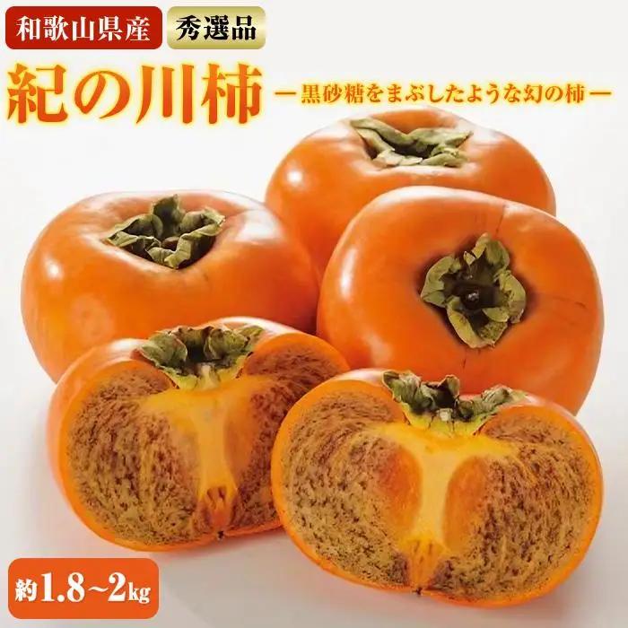 ［希少］紀の川柿約1.8～2kg（種無し）秀選品★2026年10月中旬頃より順次発送［TM191］