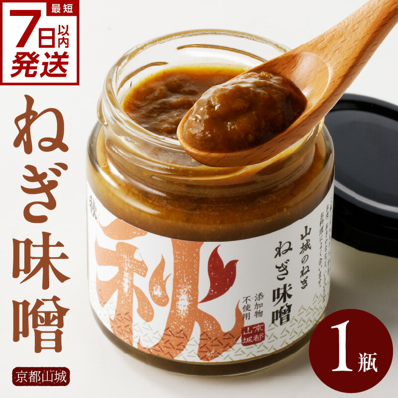 【ふるさと納税】 スピード発送あり！！京都山城 のねぎで作った ねぎ味噌 100g 京野菜 調味料 薬味 手軽 秋田農園
