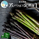 【ふるさと納税】香川県産アスパラガス定期便I | さぬきのめざめ 香川県産 定期便I アスパラ 紫アスパラガス Lサイズ以上 セミロング 瀬戸内 シャキシャキ食感 柔らかい 爽やかな甘み 野菜 食品 人気 おすすめ お取り寄せ野菜 オリジナル品種 送料無料 香川県 高松市