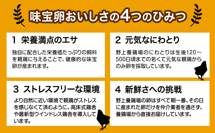 味宝卵使用 卵黄のみ たまご屋さんの濃厚 マヨネーズ 300g 2本 野上養鶏場《60日以内に出荷予定(土日祝除く)》福岡県 鞍手町 味宝卵 卵黄 濃厚 マヨネーズ マヨ サラダ ディップ トースト 