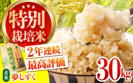 令和7年産 特別栽培米「夢しずく」玄米30kg [HAG022]佐賀