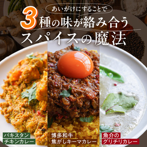 3種のスパイスカレーあいがけセット_ チキンカレー キーマカレー グリーンカレー 各 180g × 2パック 計 6パック スパイスカレー あいがけ セット 食べ比べ 自由 組み合わせ 新しい 味わい