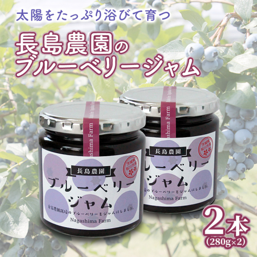 ブルーベリージャム 2本 ジャム ブルーベリー 国産 茨城県産 [AK007sa]