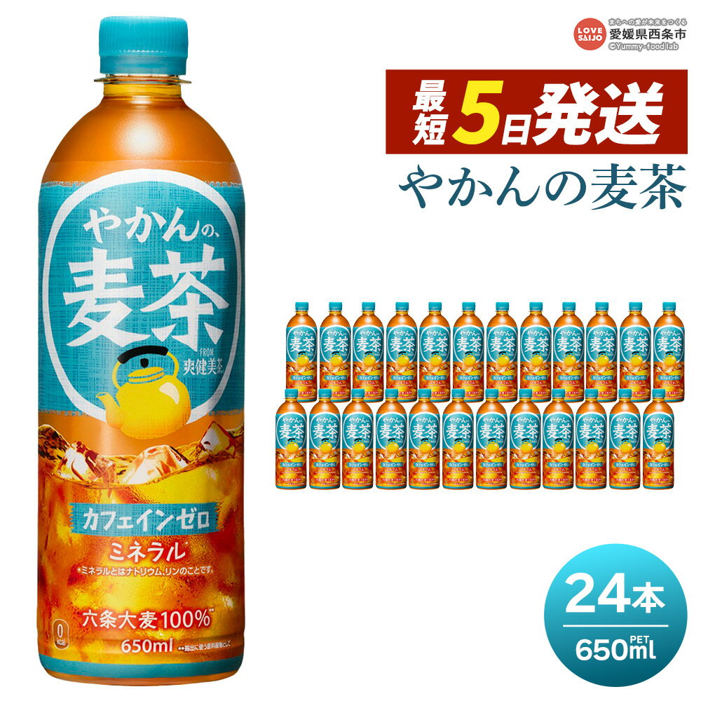 【ふるさと納税】＜やかんの麦茶 650ml×24本＞※最短5営業日で出荷 スピード発送 選べる 配送回数 1回 2回 3回 定期便 単品 コカ・コーラ 爽健美茶 ペットボトル PET お茶 むぎ茶 カフェインゼロ 水分補給 熱中症対策 夏バテ 清涼飲料水 ドリンク 愛媛県 西条市【常温】