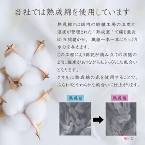 【ホテルタイプ】ワイドバスタオル 3枚 ベージュ 020C389【1725432】