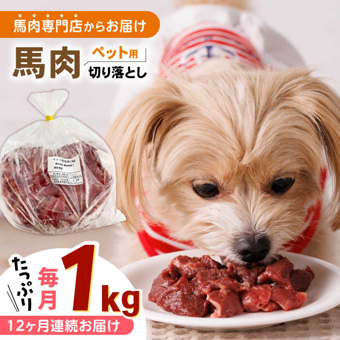【ふるさと納税】【全12回定期便】国内加工 ペット用 馬肉 切り落とし 1kg 犬 肉 馬肉 ドッグフード ペットフード 熊本 生馬肉 生肉 健康 小型犬 大型犬 ペット 【五右衛門フーズ】[YBZ062]