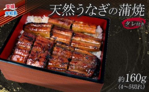 天然 うなぎ の 蒲焼 約 160g 料理田むら 鰻 うなぎ 天然うなぎ 天然鰻 天然 かば焼き 本格 タレ付き 国産うなぎ 蒲焼 うな重 ひつまぶし かばやき 真空パック 湯煎 簡単調理 高級 国産 愛媛 宇和島 D020-140001