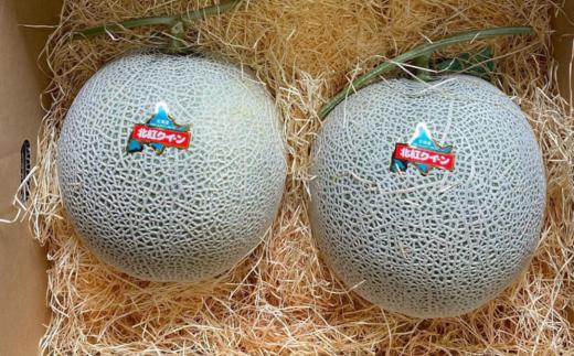 ＜2025年7月上旬よりお届け＞北海道壮瞥産 赤肉メロン「北紅クイーン」2玉入り約4.0kg以上  SBTP003
