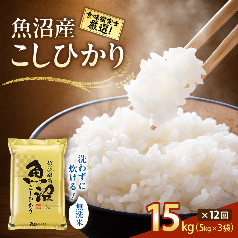 【令和8年産 先行予約】無洗米「12カ月定期便」食味鑑定士厳選！魚沼産こしひかり １５ｋｇ(５ｋｇ×３)×12回 白米 安心 安全 こだわり 米 コシヒカリ 定期 新潟県 十日町市
