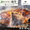 【ふるさと納税】北海道 ほろかない和牛 生ハンバーグ 200g×6 計1.2kg 黒毛 和牛 牛肉 肉 国産 ブランド牛 ハンバーグ ジューシー 贅沢 ギフト 贈答 お中元 お歳暮 お取り寄せ 市村ファーム 送料無料　【幌加内町】