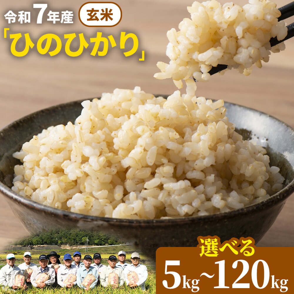 【ふるさと納税】【令和7年産 予約受付】玄米 岡山県産 ひのひかり 笠岡産 選べる 内容量 回数 5kg 10kg 20kg 30kg 60kg 90kg 120kg 奥山営農 太陽の恵み O-07_5kg