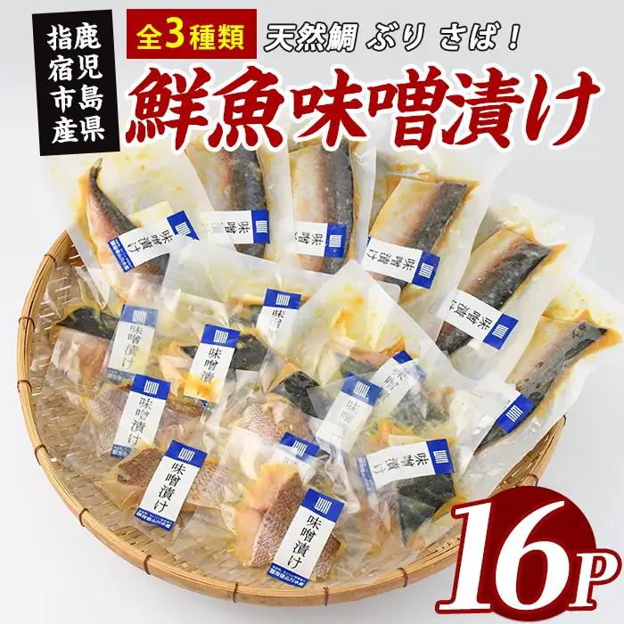 漁師がつくる味噌漬け16Pセット (指宿山川水産/IB035-019) 魚 味噌漬け 焼き魚 焼くだけ 鯛 ブリ ぶり 鰤 サバ さば 鯖 総菜 詰め合わせ セット