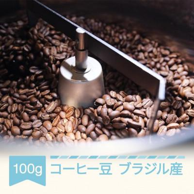 ふるさと納税 村山市 ラビットビレッジコーヒーのコーヒー ブラジル 100g コーヒー豆 自家焙煎