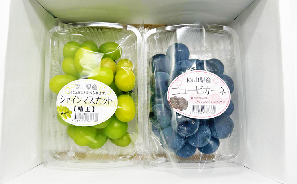 岡山県産 ぶどうパック詰合せ ※2種2パックセット （ ニューピオーネ ・ シャインマスカット ）