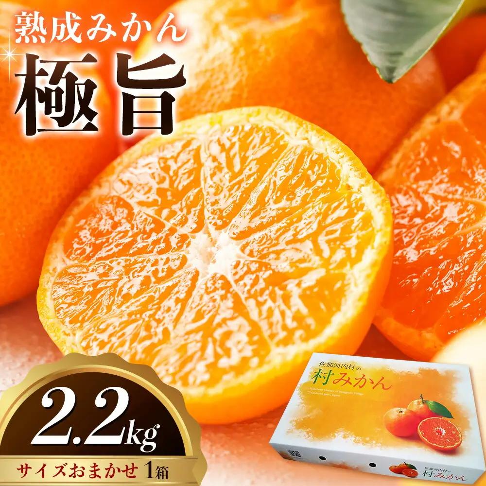 みかん 熟成みかん 極旨 1箱 2.2kg