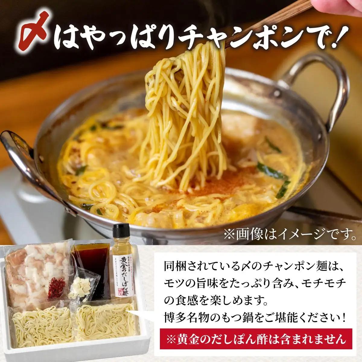  厳選国産牛使用！博多もつ鍋 味噌味 8～12人前【博多の味本舗】